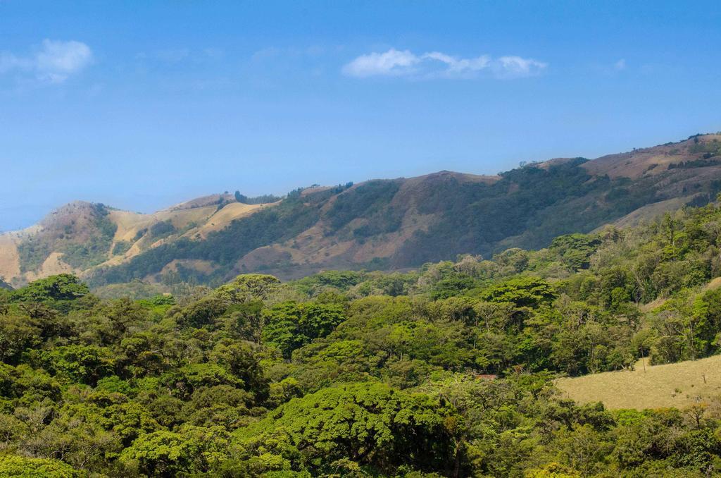Hotel Cipreses Monteverde Eksteriør billede